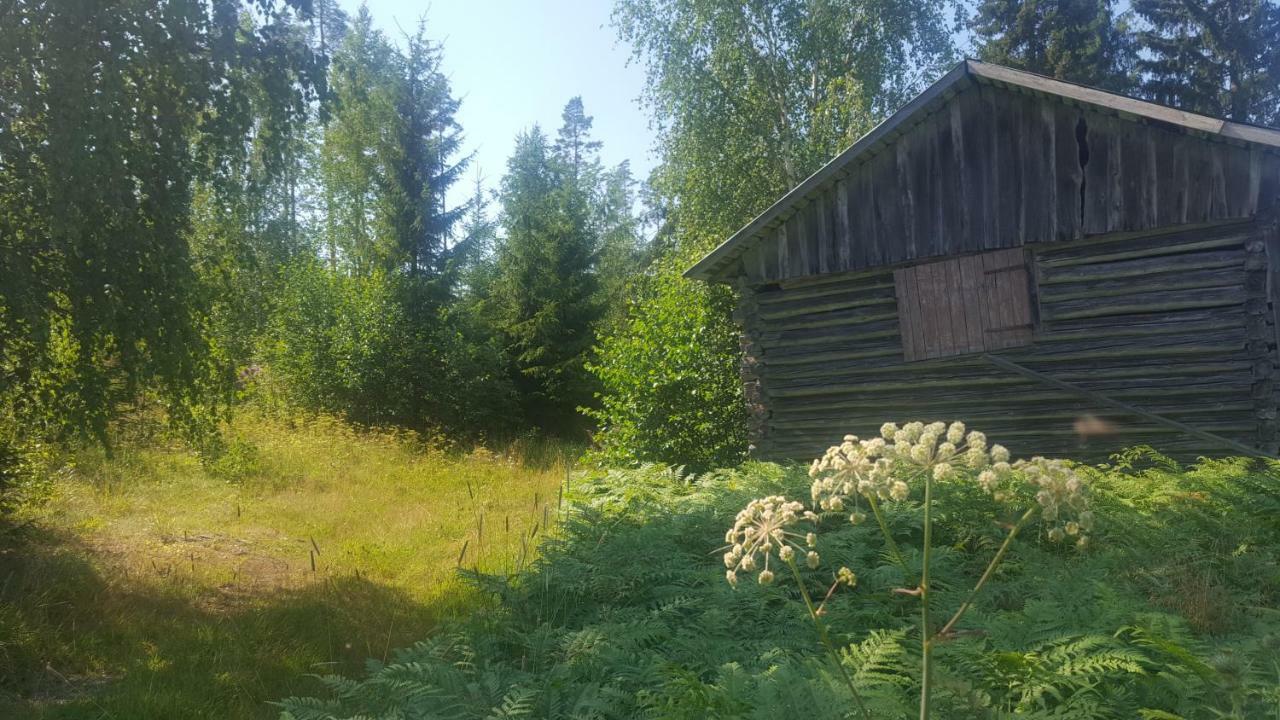 Villa Vuorenpaeae Tammela المظهر الخارجي الصورة